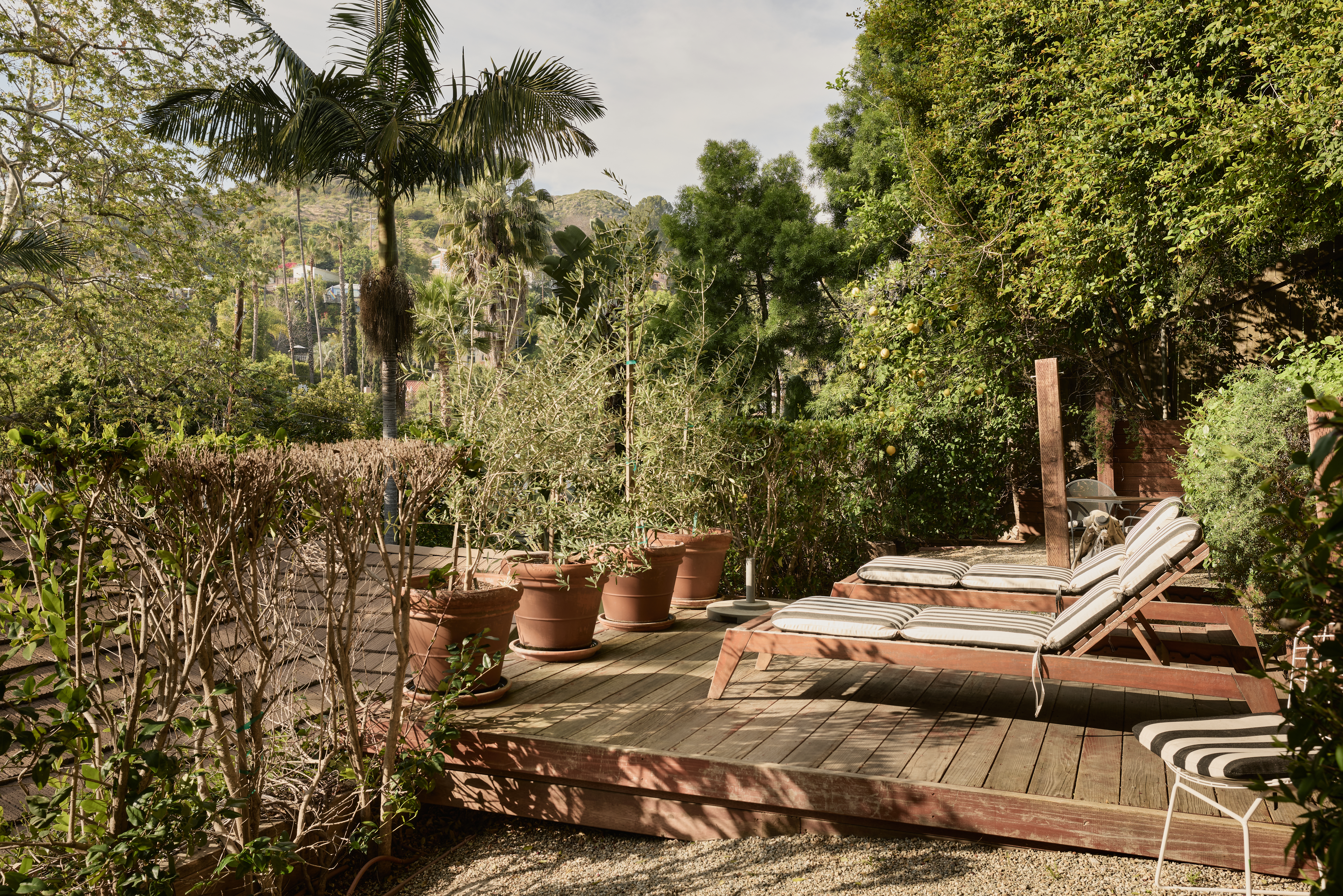 2230 Fink St, Hollywood Dell (photo 4)