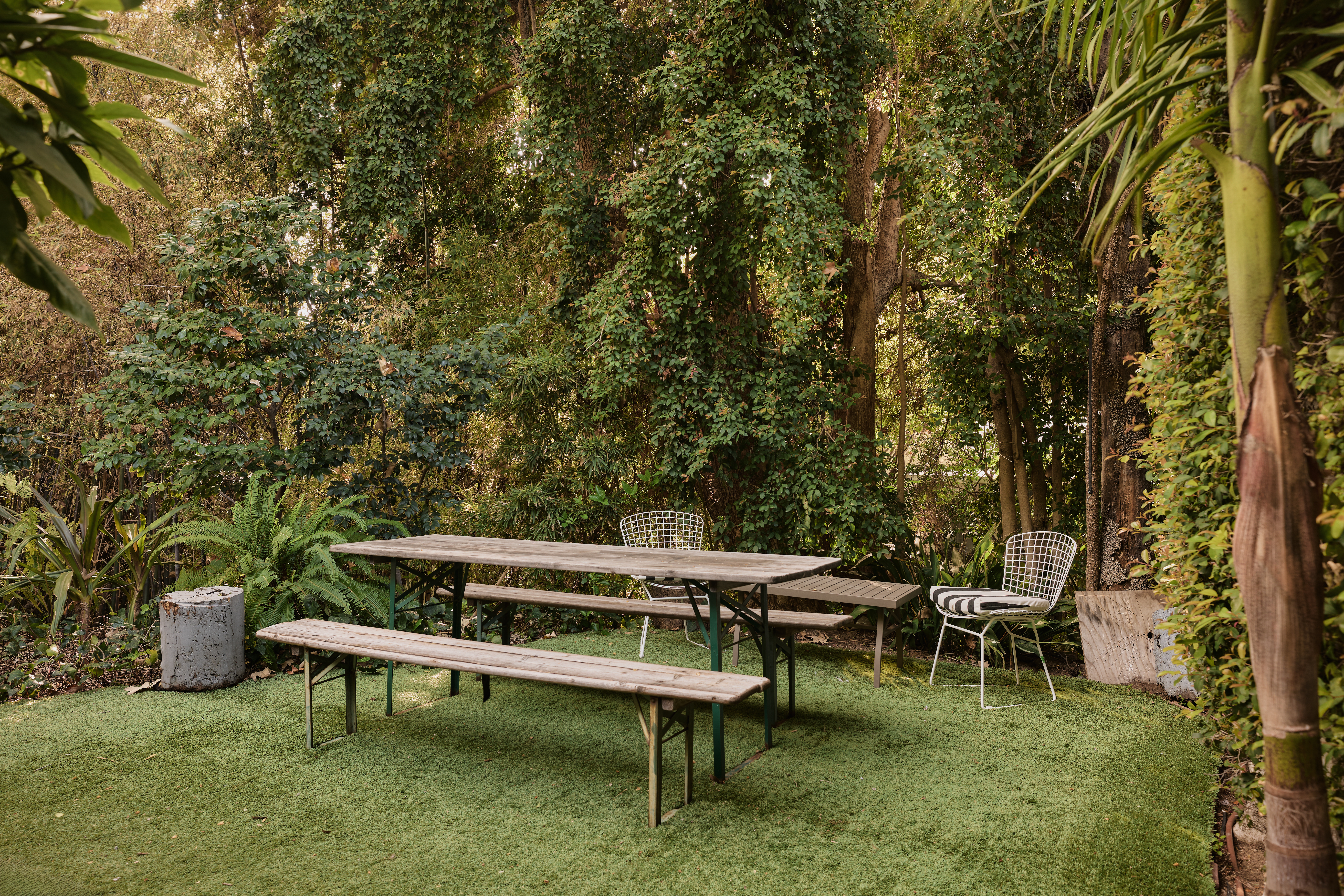2230 Fink St, Hollywood Dell (photo 6)